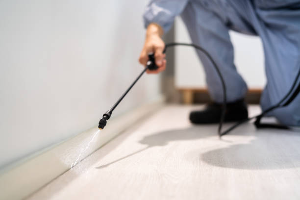 Licensed Mosquito Control service in Louisville, IL - Show Me Pest Control