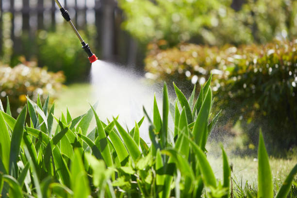 24/7 Emergency Mosquito Control experts in Louisville, IL