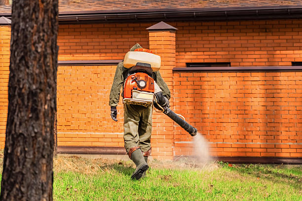 Top rated local Mosquito Control specialists in Louisville, IL